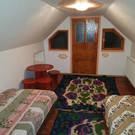 Guest house Pe Valea Ariesului *
